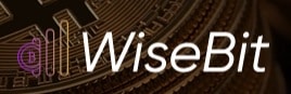 WiseBit.AI Brand Logo